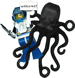 Diver and Octapus image