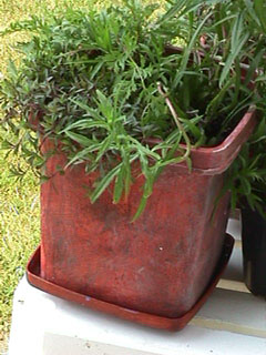 planter bucket